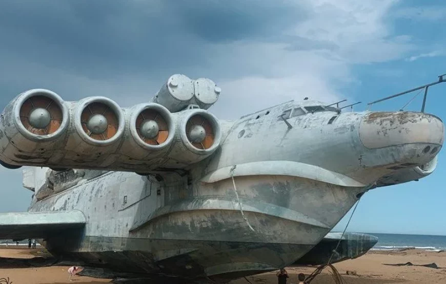 САМУРСКИЙ ЛЕС